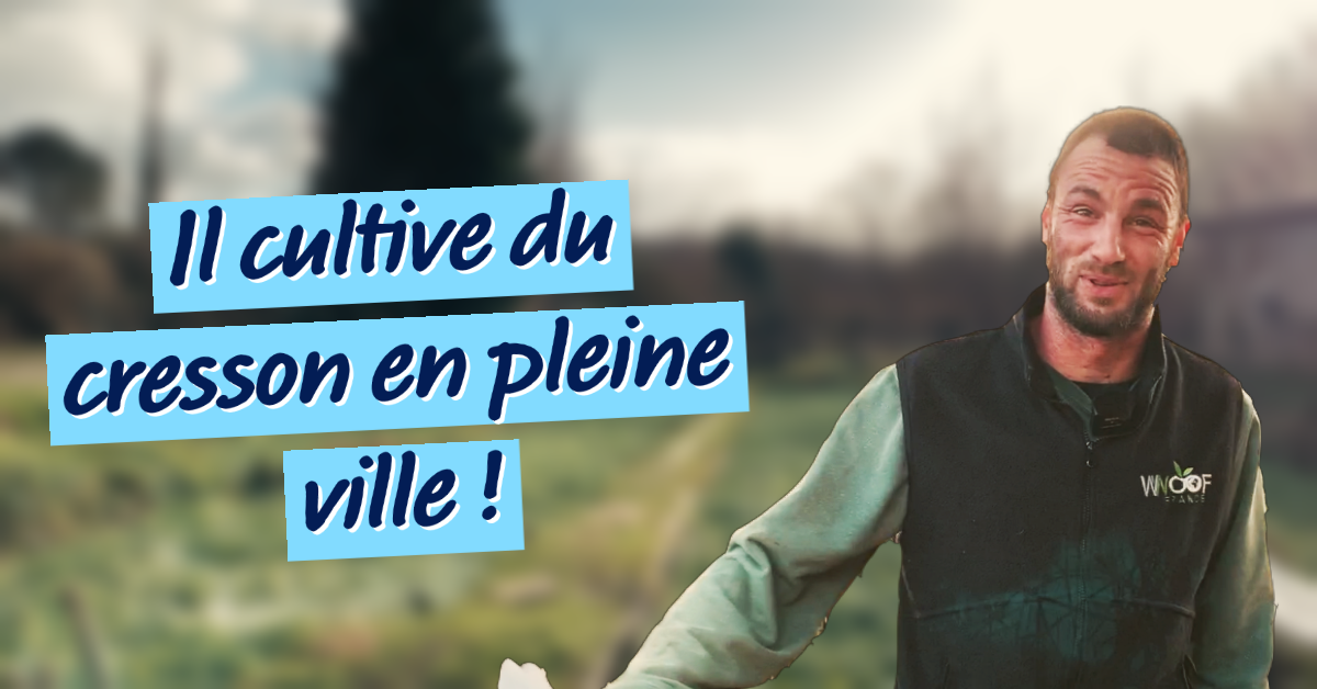 Arrière-plan