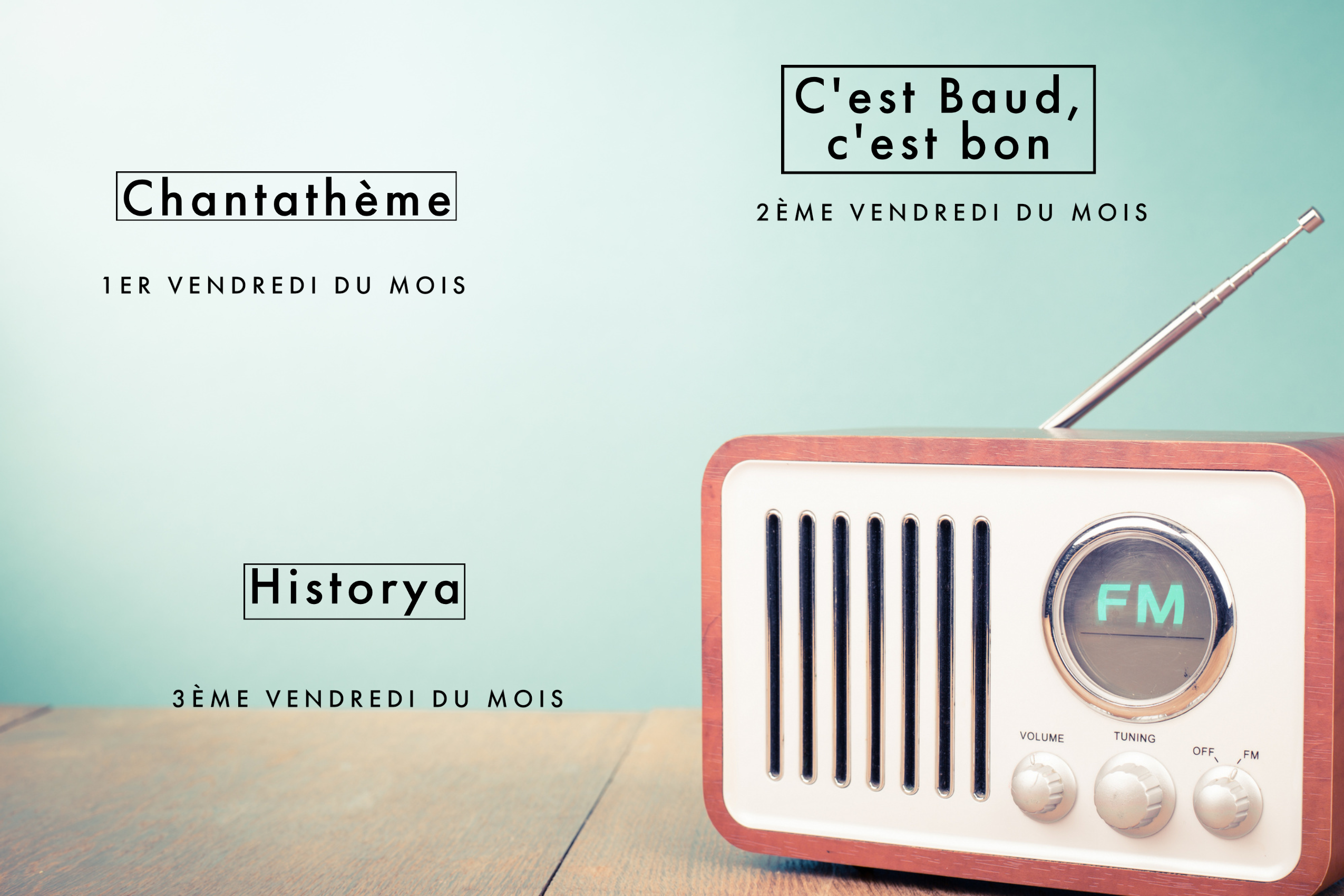 Les émissions du vendredi