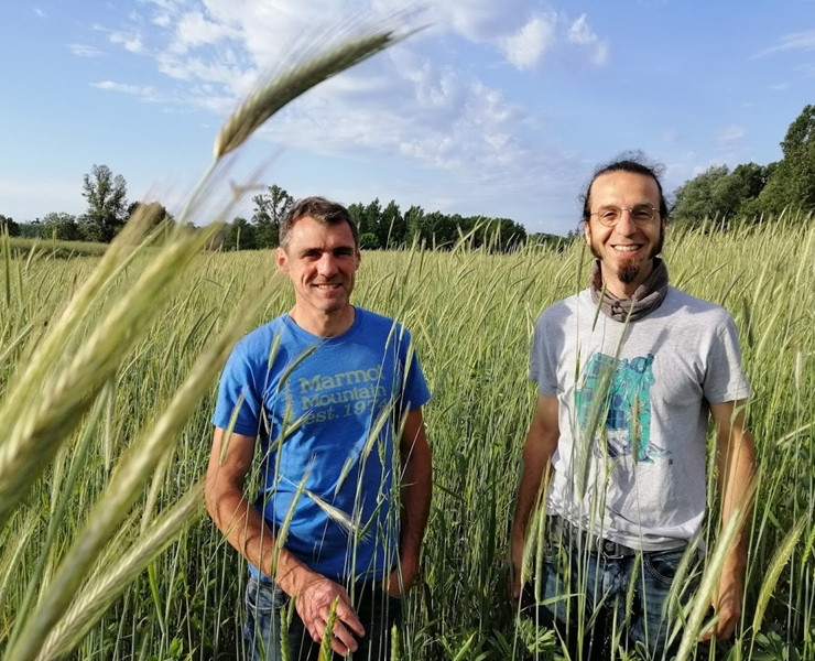 Le Retour du Pain Artisanal au Fournil des Dam's : Réservez dès Maintenant !
