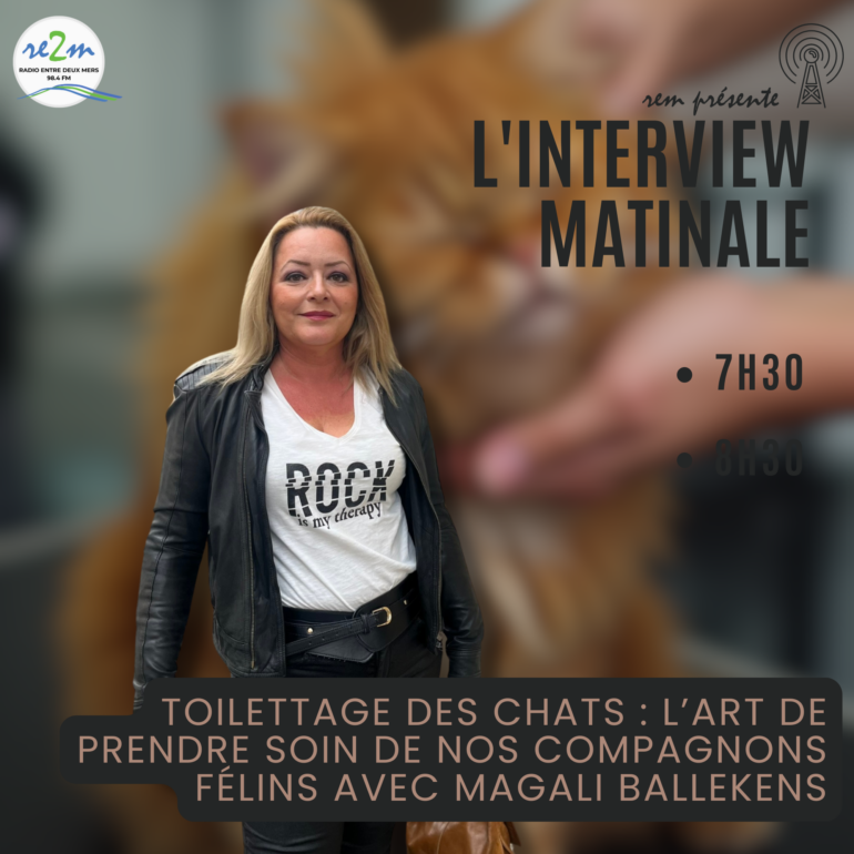 Toilettage des Chats : L’Art de Prendre Soin de nos Compagnons Félins avec Magali Ballekens