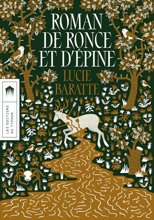 Roman de Ronce et d'Epine - chronique médiathèque
