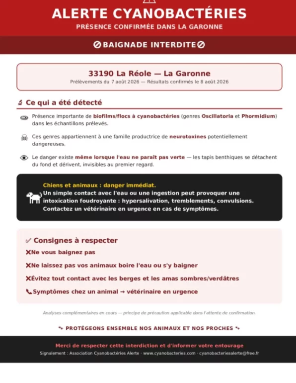 Un prélèvement du 7 août révèle des cyanobactéries toxiques dans la Garonne à La Réole. Baignade interdite, chiens à tenir strictement à l'écart de l'eau.