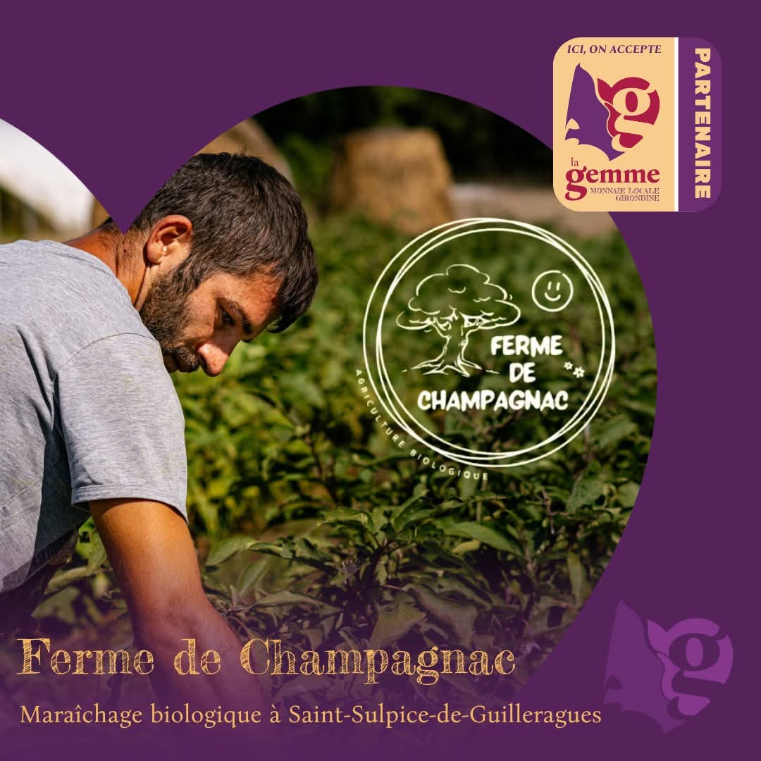 Simon Le Mest cultive des légumes bio sur 4,7 hectares à Saint-Sulpice-de-Guilleragues. Vente à La Réole, bientôt à Monségur, paiement en gemmes accepté.