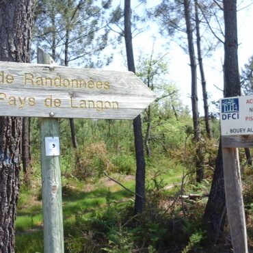 Forêt de pins à Noaillan, en Sud-Gironde, avec un panneau de piste de défense contre les incendies (DFCI)