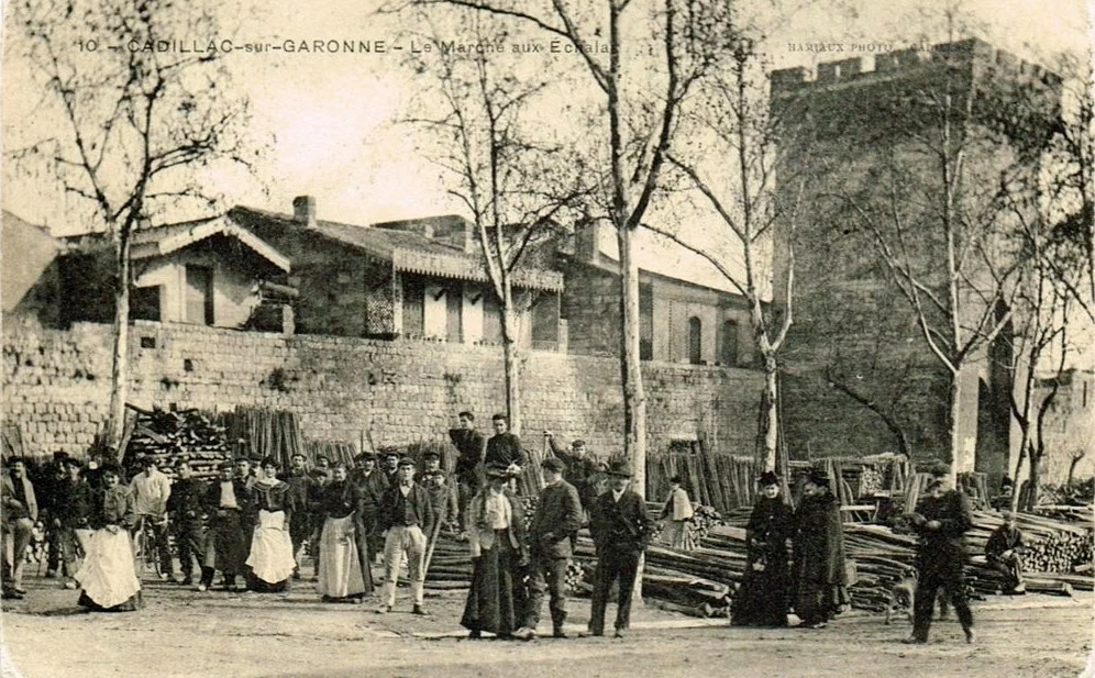 Carte postale ancienne du marché aux échalas à Cadillac-sur-Garonne, avec habitants devant les remparts de la bastide